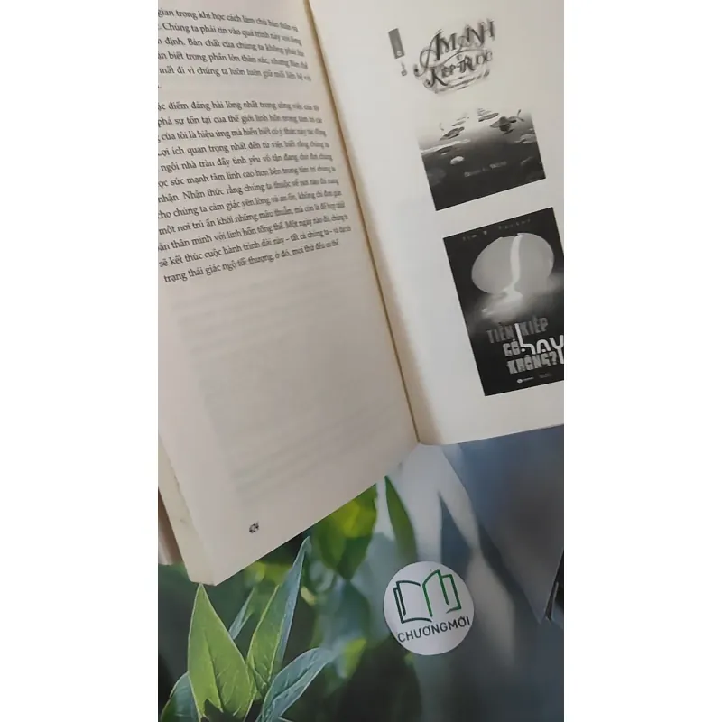 Hành Trình Của Linh Hồn - TS. Michael Newton 1018873