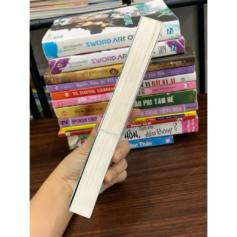 Sword Art Online 003: Fairy Dance – Reki Kawahara, abec 576052