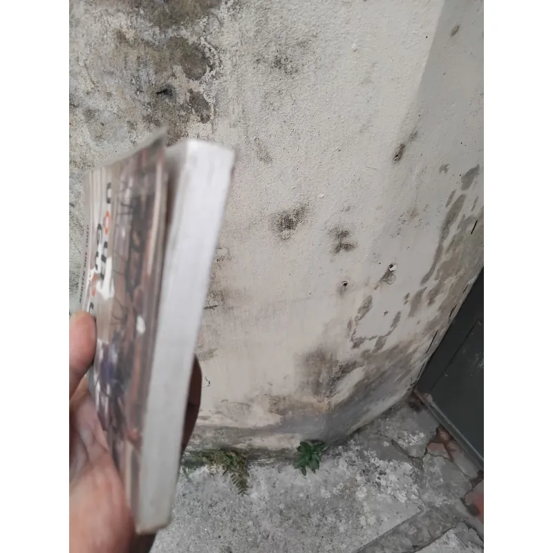 Những truyện nông thôn của nhà văn Nguyễn Huy Thiệp  1004705