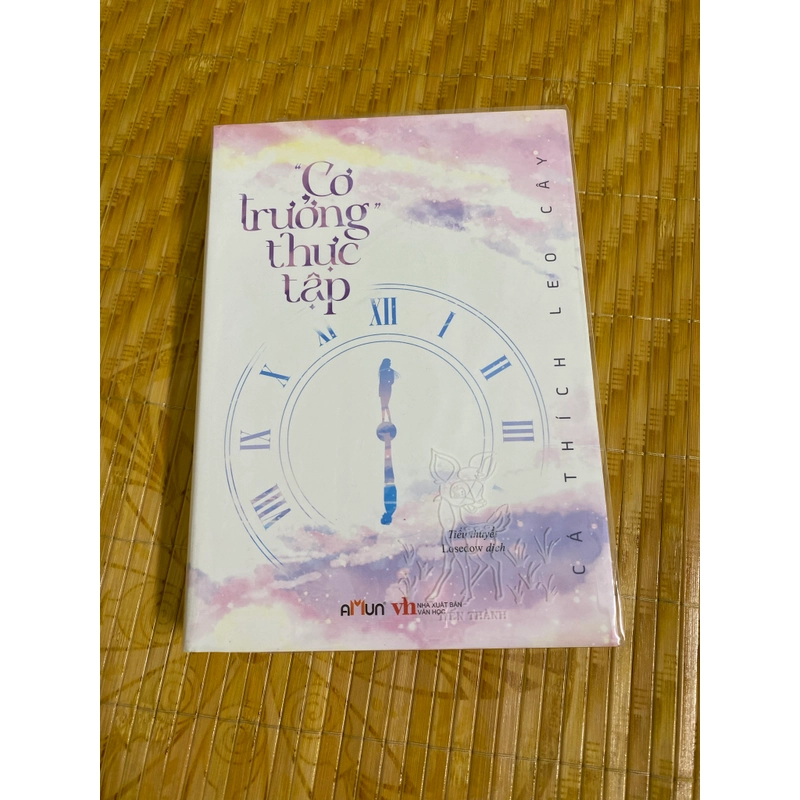 Cơ trưởng thực tập 524772