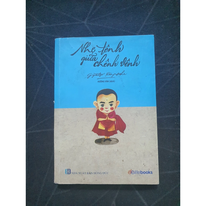 "Nhẹ tênh giữa chênh vênh" - Gyatso Rinpoche 496655
