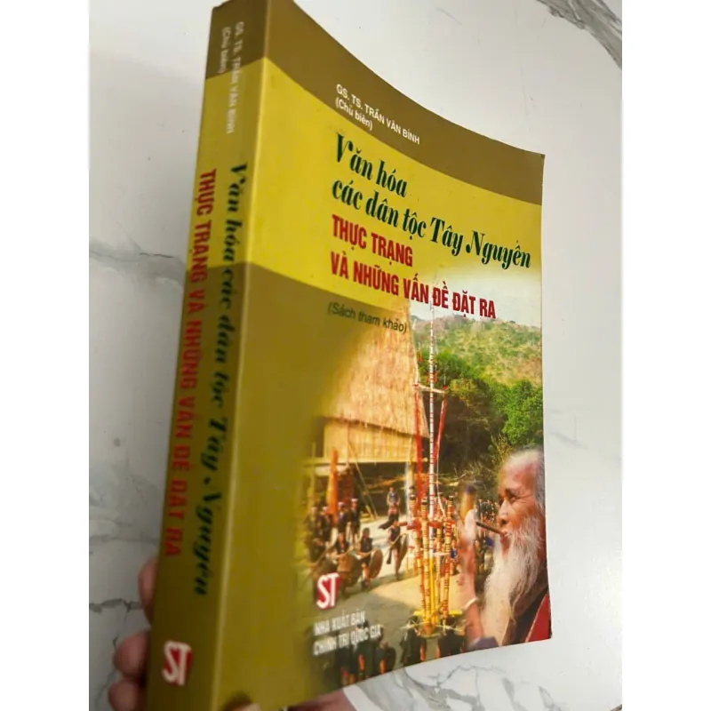 Văn hóa các dân tộc Tây Nguyên: Thực trạng và Những vấn đề đặt ra - GS. TS. Trần Văn Bính 695290