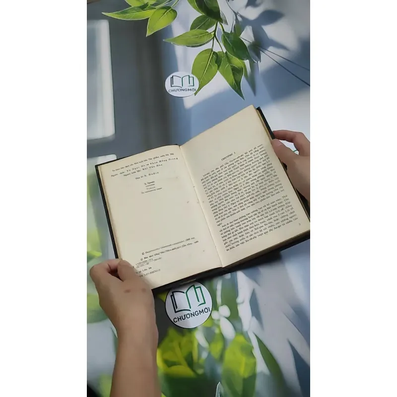 Bức Tranh - Đanhin Granhin 750804