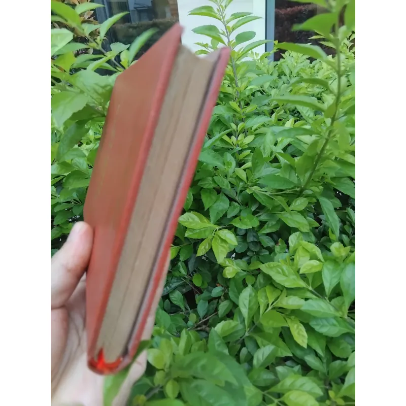 Các vĩ nhân tỉnh lẻ tập truyện của Dương Thu Hương 974254