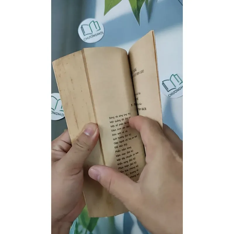 [XƯA] Cây Bút Vàng 2 (1999) 798305