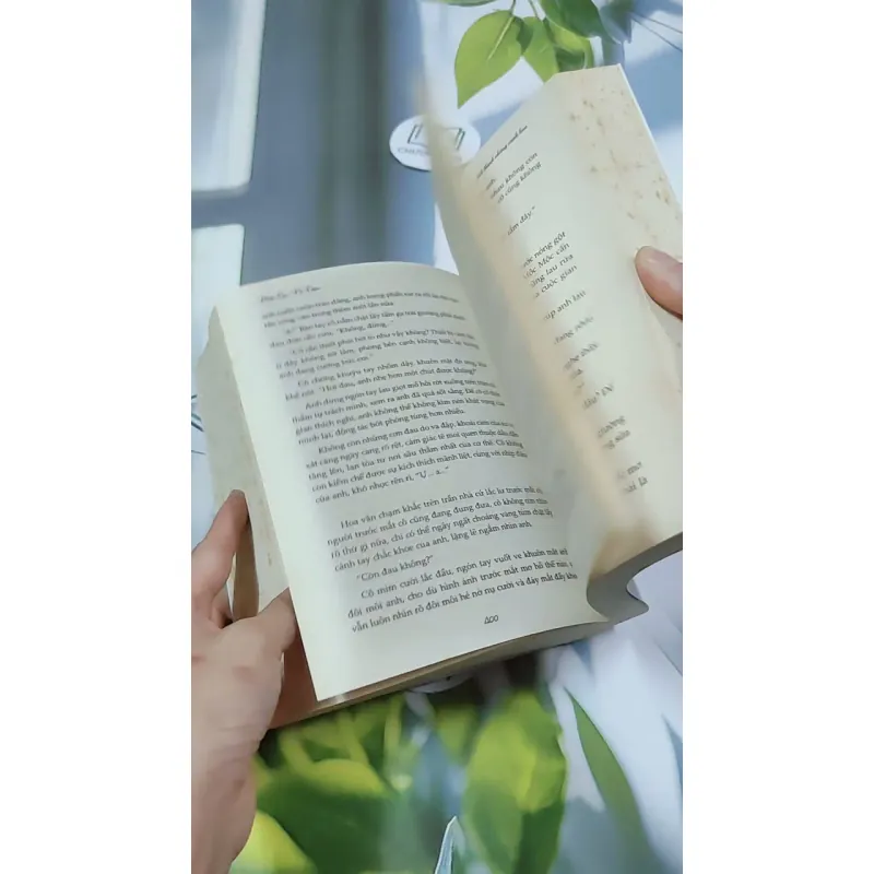 Gió Mang Ký Ức Thổi Thành Những Cánh Hoa - Diệp Lạc Vô Tâm 744749