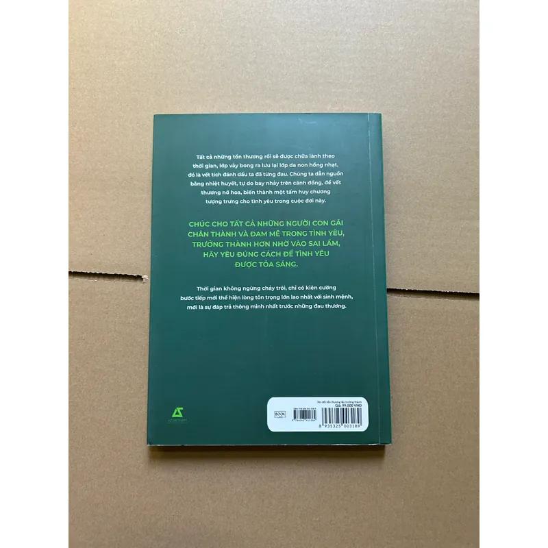 Xin đổi tổn thương lấy tinh thần - Lý Ái Linh 731588