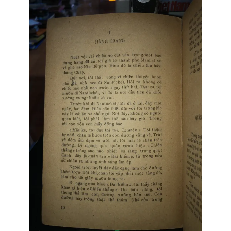 Cá voi trắng - Hơmơn Menvin 795448