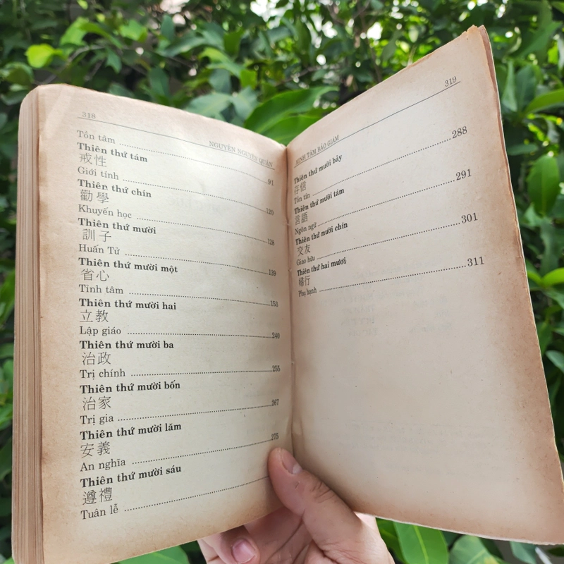 Minh Tâm Bảo Giám - Gương Sáng Soi Sáng Tâm Hồn - Nguyễn Nguyên Quân 525469