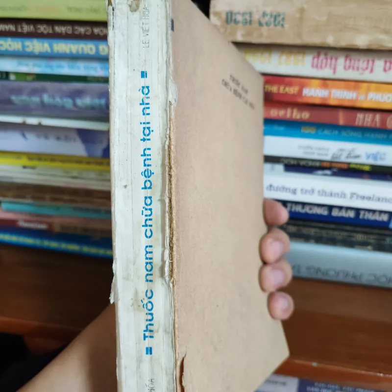 Thuốc nam chữa bệnh tại nhà 1035495