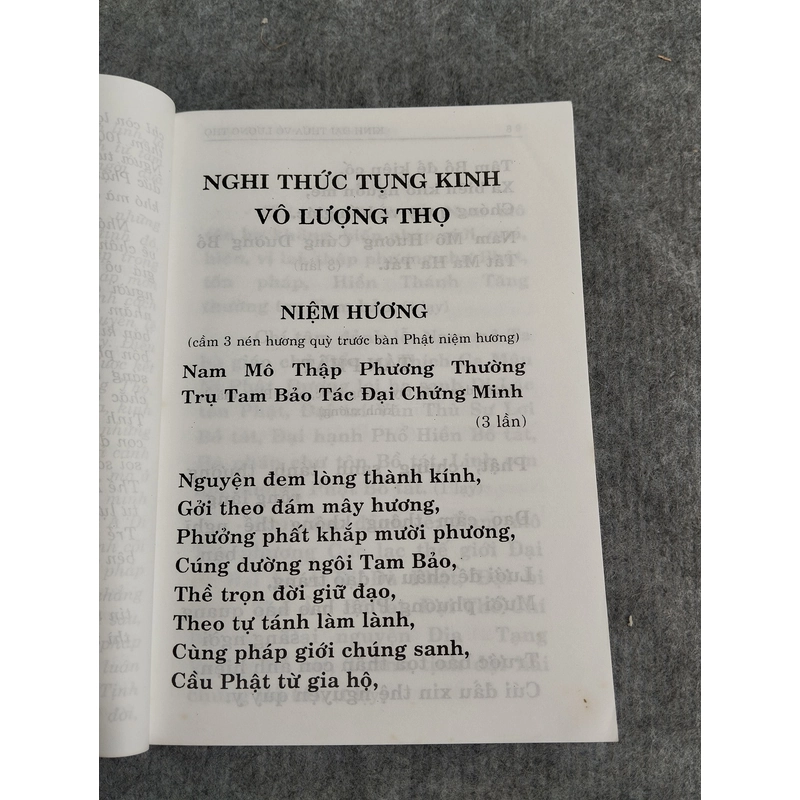 PHẬT THUYẾT ĐẠI THỪA VÔ LƯỢNG THỌ... 549104