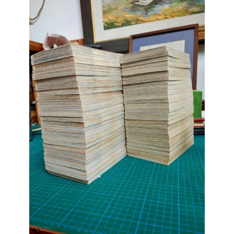 Truyện tranh Thám Tử Lừng Danh Conan đọc xuôi 119382