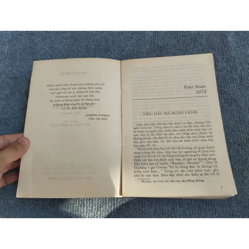 NGỰA THÁI - W.DIEHL 574308