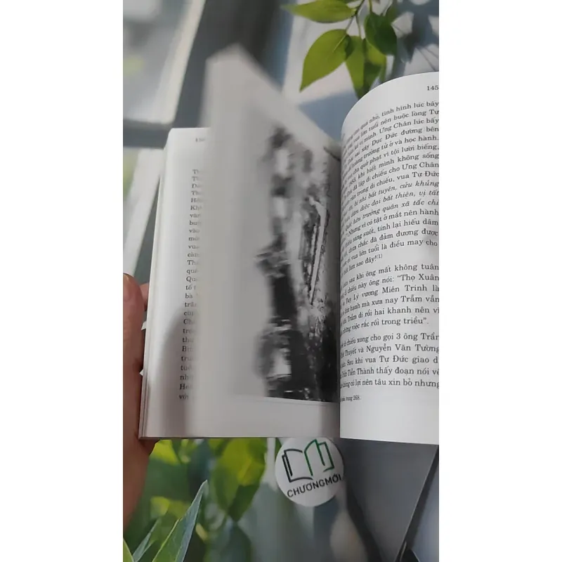 Nhà Nguyễn Chín Chúa Mười Ba Vua - Thi Long 970255