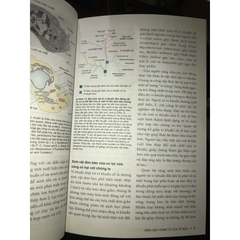 Sinh học phân tử của tế bào tập 1  1010153