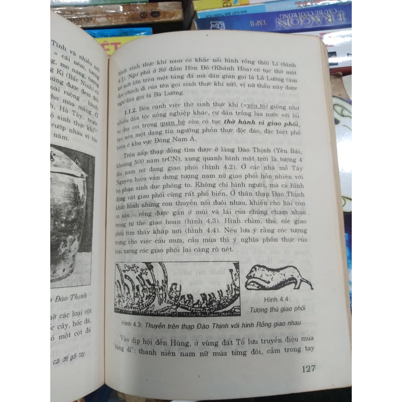 Cơ Sở Văn Hóa Việt Nam 507592