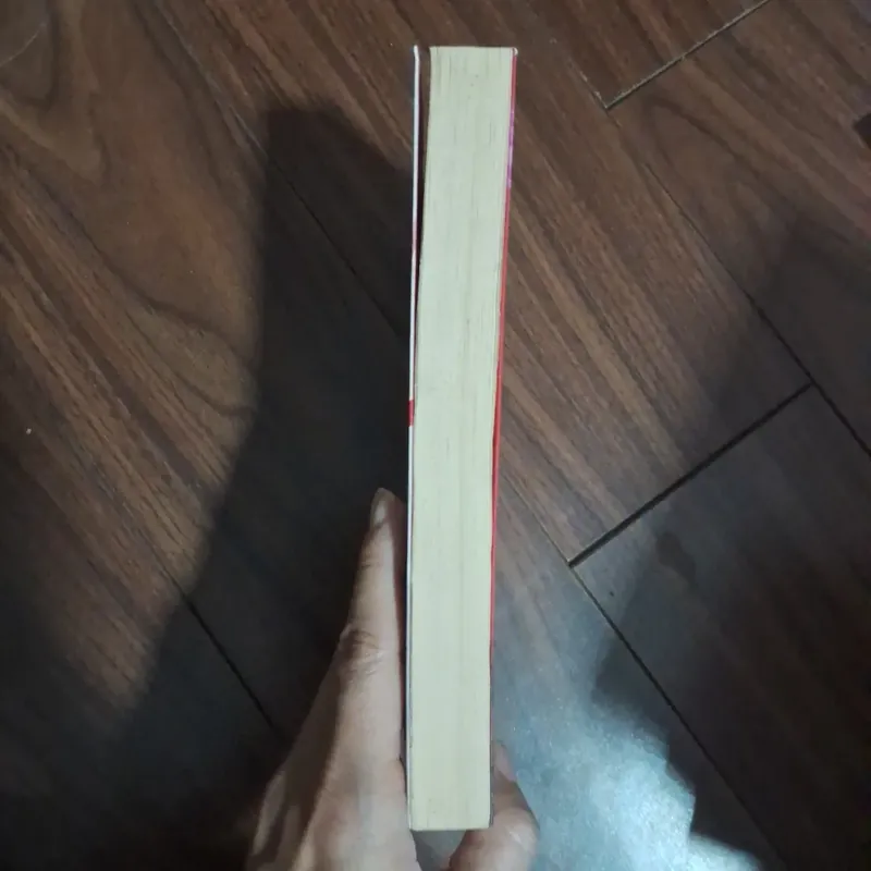 Mơ về phía anh - ngải mễ 706574