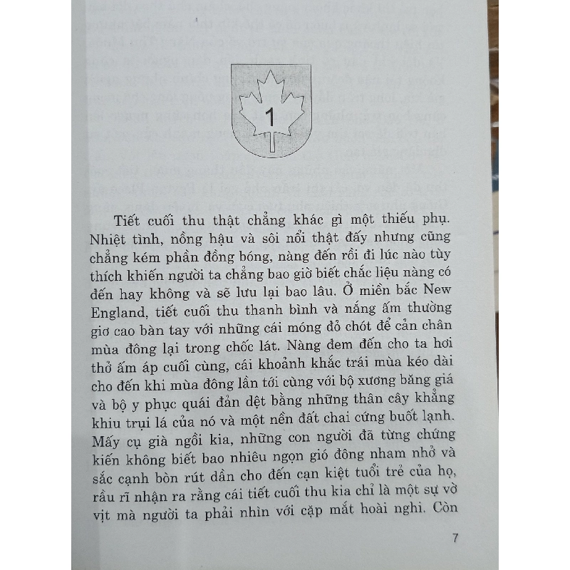 Chuyện về thị trấn nhỏ - Grace Metalious (Tạ Thu Hà dịch) 518761