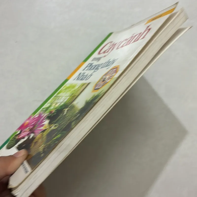 Cây cảnh trong phong thủy nhà ở 764640