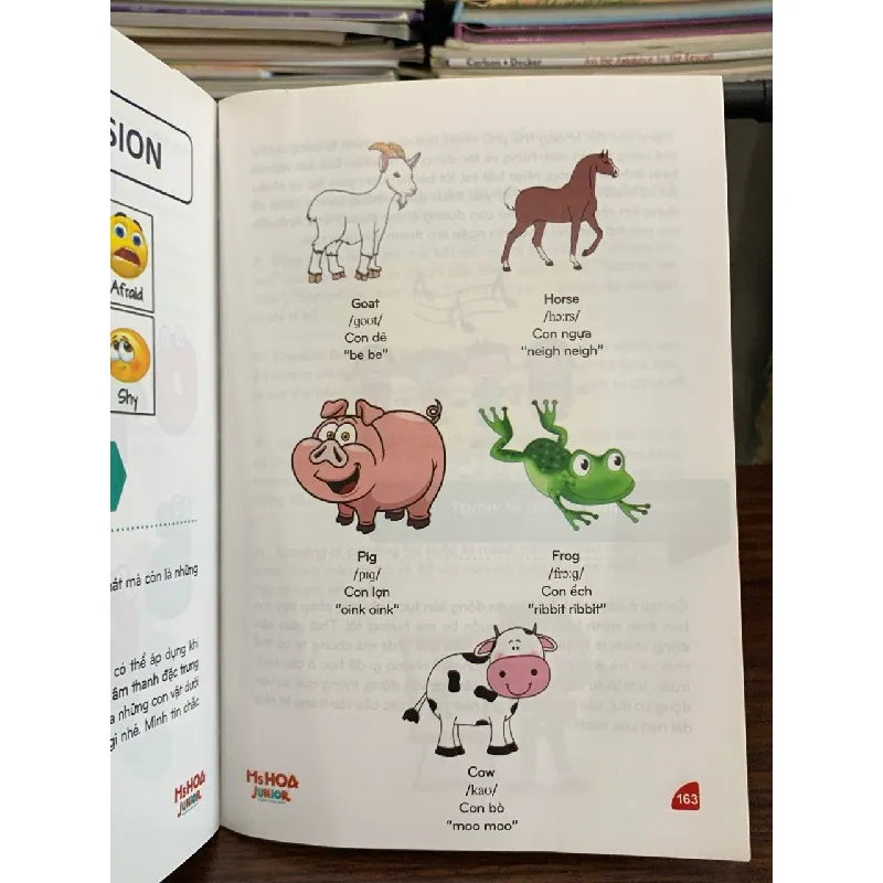 Đồng hành tiếng Anh cùng con – Ms Hoa Junior (IMAP Books) 574022