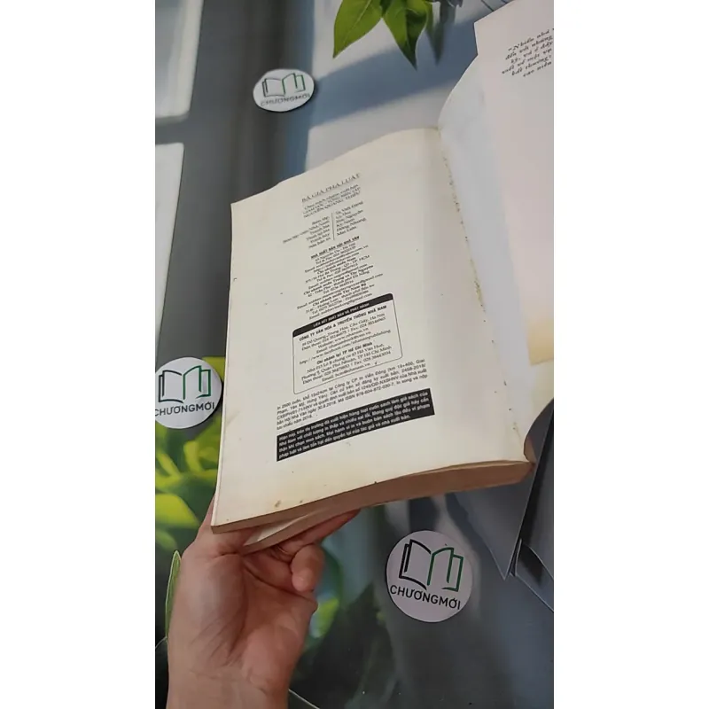 Bà già phá luật - Catharina Ingelman-Sundberg 1018843