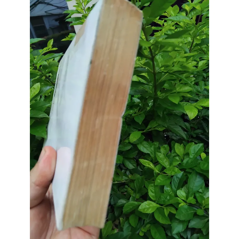 Văn hóa nghệ thuật Nam Bộ  995544