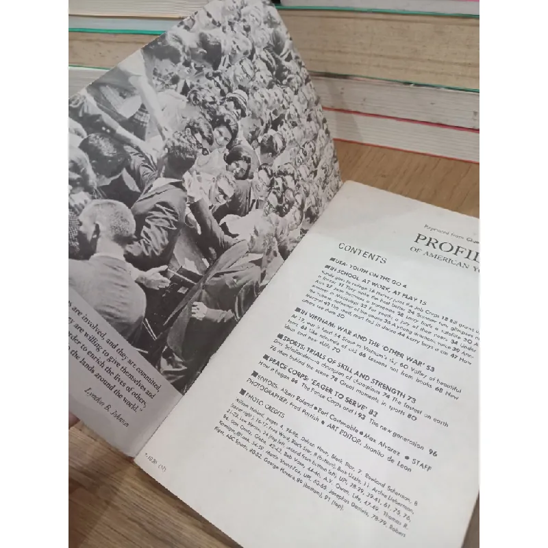 Profiles of American youth 698853