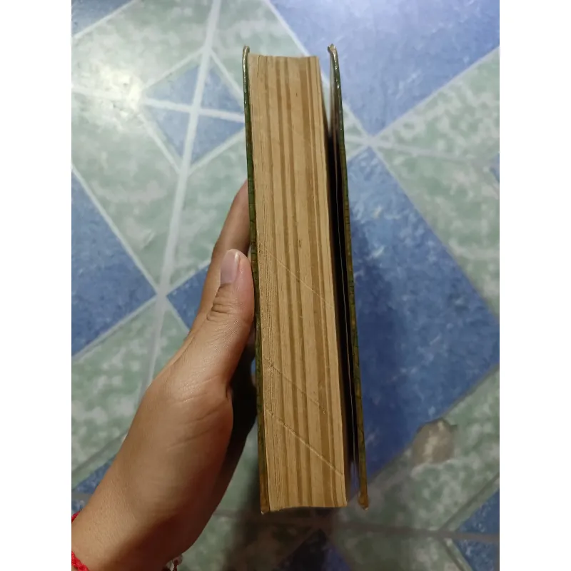 Nguyễn Trãi đánh giặc cứu nước - Nguyễn Lương Bích 1032744