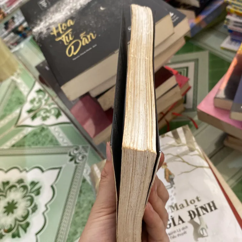 Nhật ký Đặng Thuỳ Trâm 739449