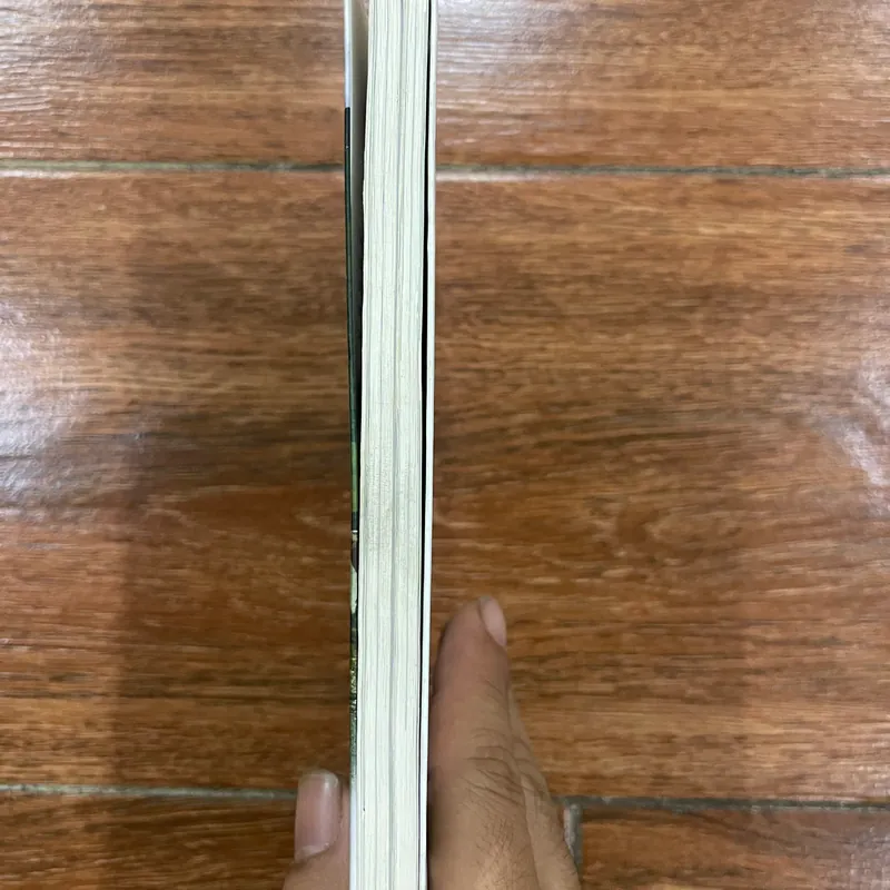 Rong chơi - Trần Lập (k3) 563693