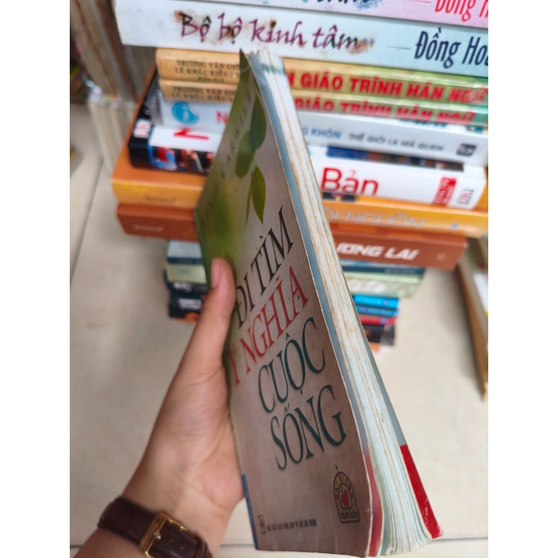 Đi tìm ý nghĩa cuộc sống 🌱 552817