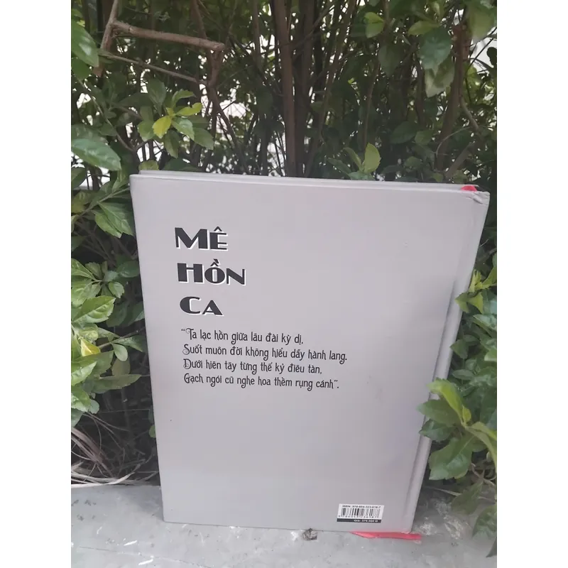 Mê hồn ca thơ Đinh Hùng  731910