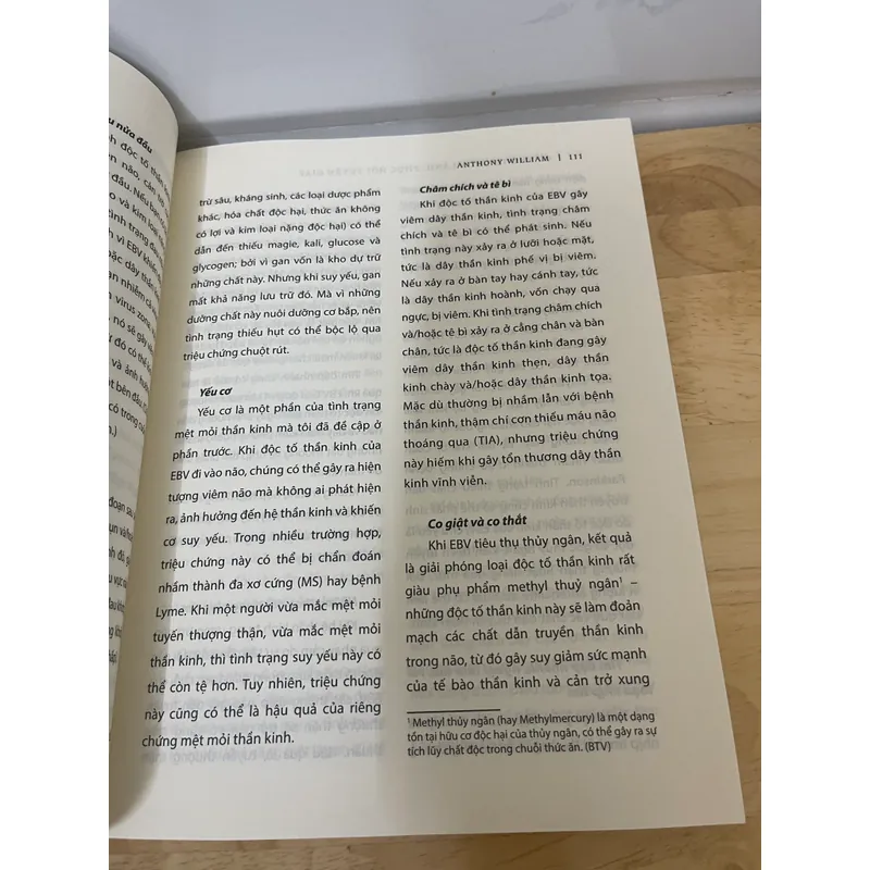 Cơ Thể Tự chữa Lành  590250