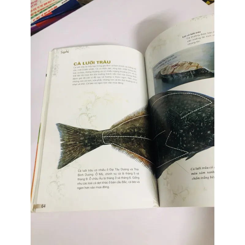 KỸ THUẬT CHẾ BIẾN MÓN SUSHI  599786