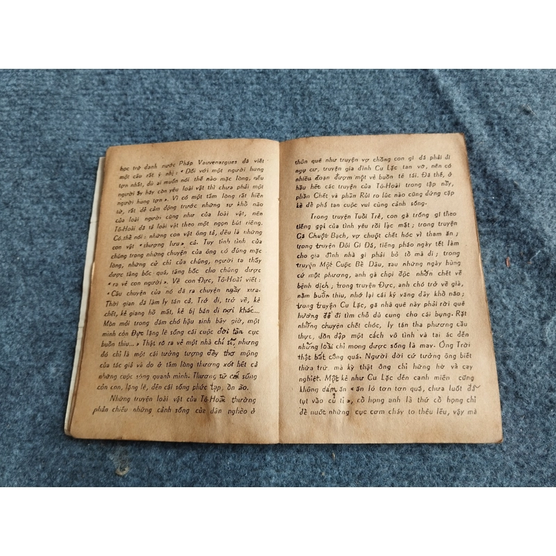 O CHUỘT - TÔ HOÀI 478537