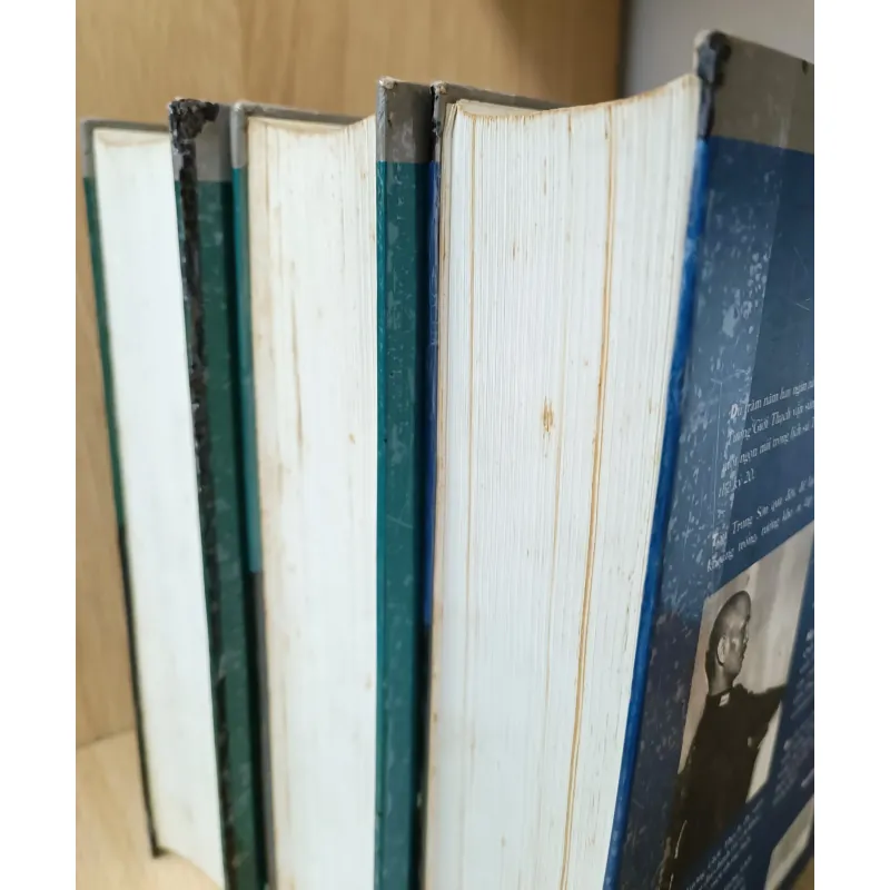 Tưởng Giới Thạch bạn và thù (Vương Triều Trụ) 1006749