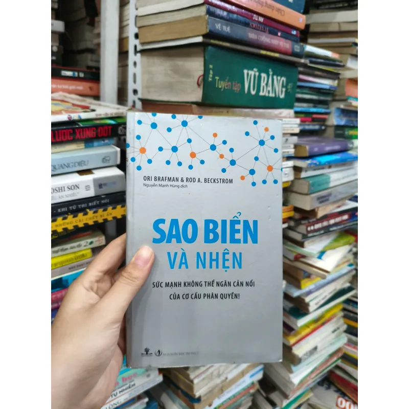 Sao Biển Và Nhện 🌱 698186