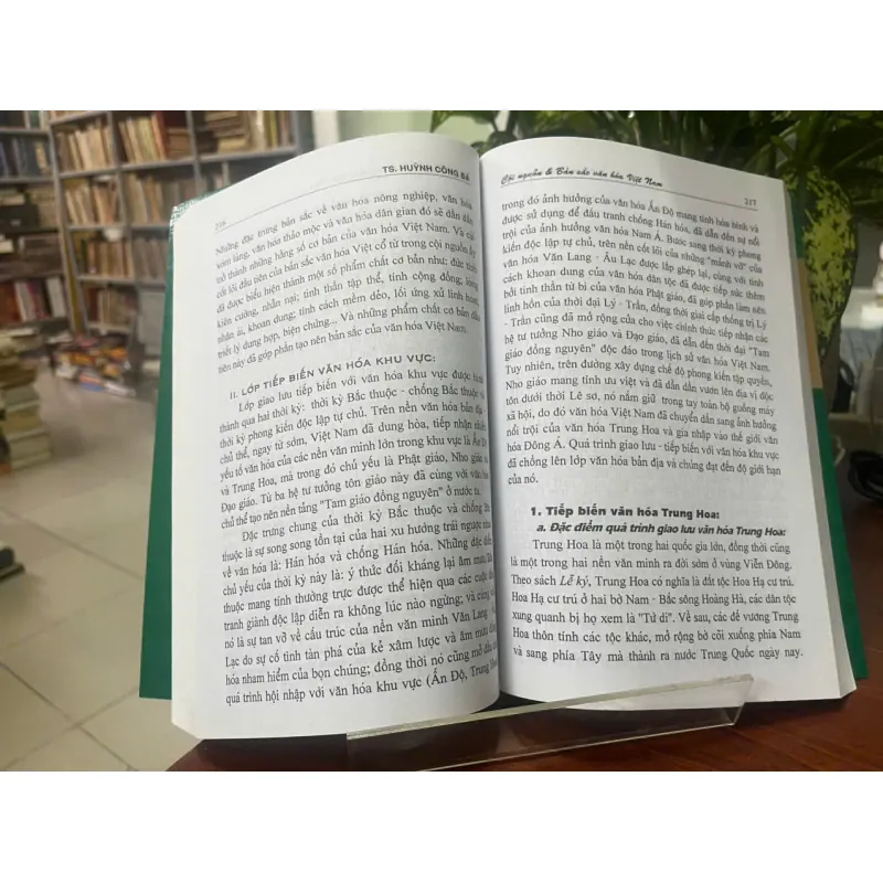 CỘI NGUỒN VÀ BẢN SẮC VĂN HÓA VIỆT NAM 553272