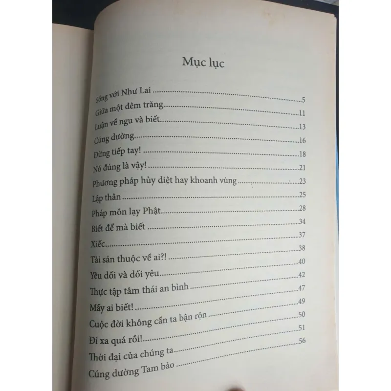 Gió Đùa Reo Nắng Mới 674721