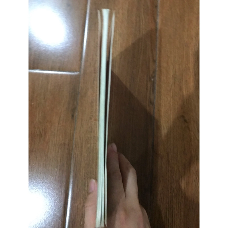 Cuộc hành trình kỳ thú - Qua các vùng đất ngập nước  473572