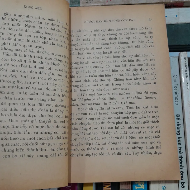 NGƯỜI ĐÀN BÀ TRONG CỒN CÁT - TRÙNG DƯƠNG 760819