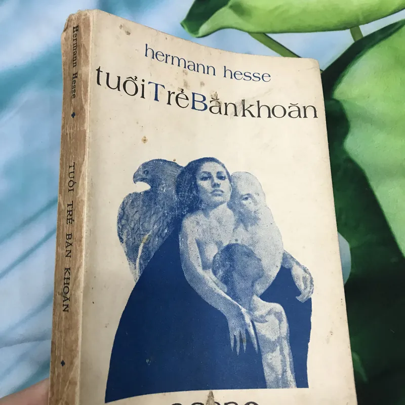 Tuổi trẻ băn khoăn - Hermann Hesse 591302