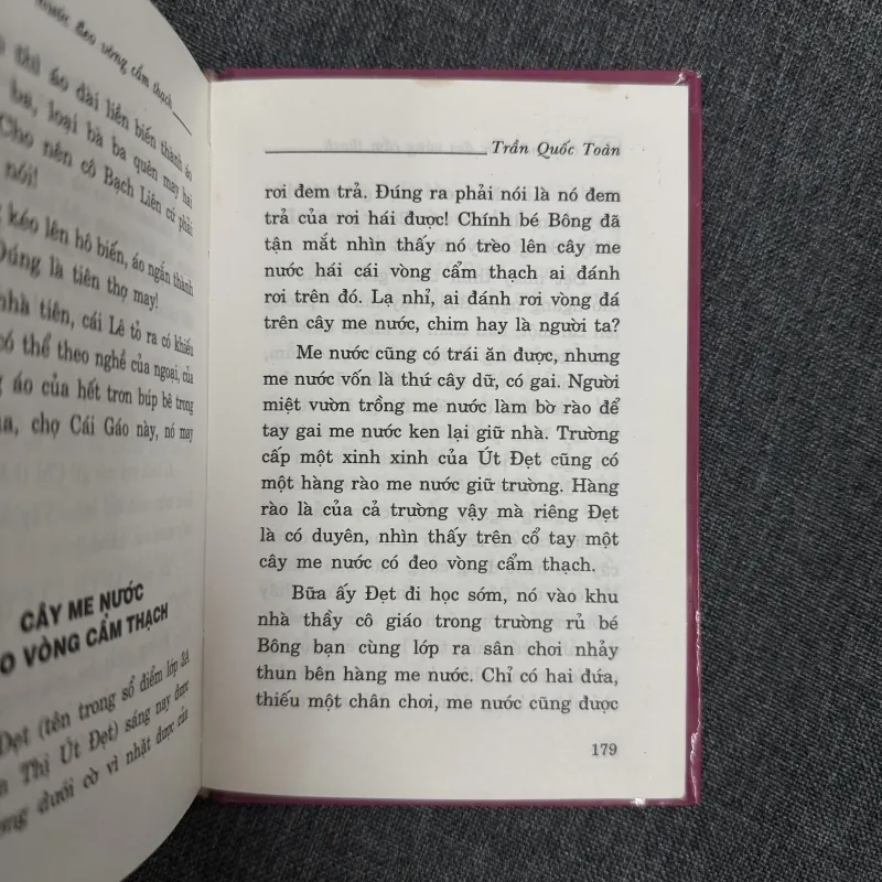 Cây me nước đeo vòng cẩm thạch (Bìa cứng) - Trần Quốc Toàn 790332