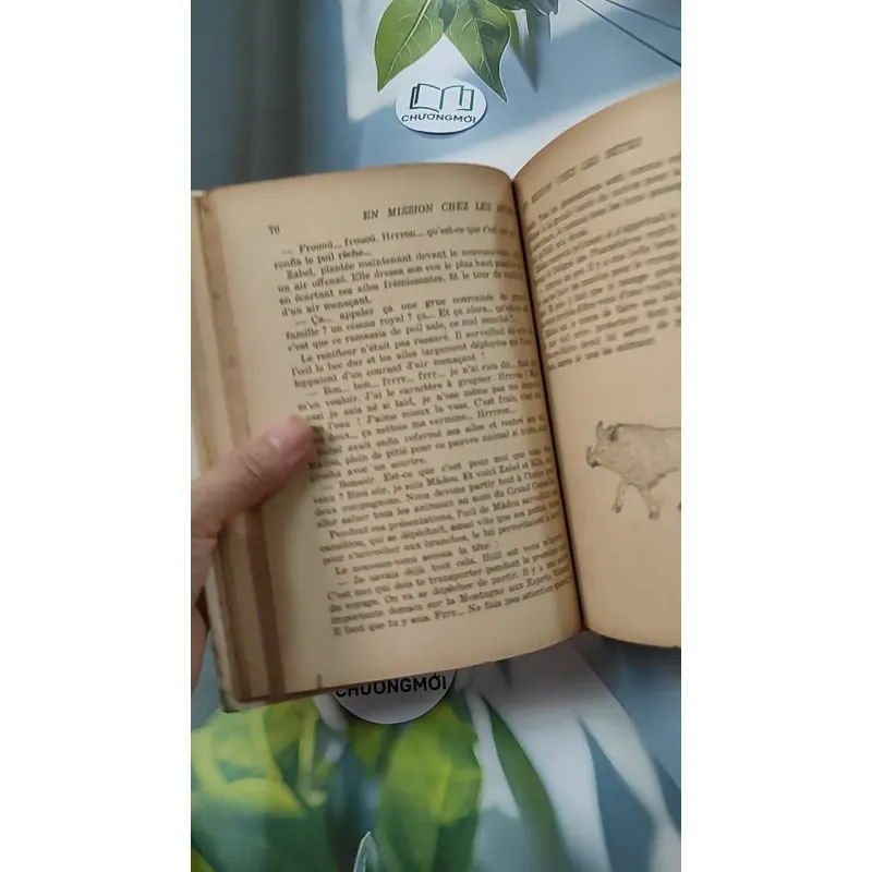 [MIỄN PHÍ BỌC SÁCH] En mission chez les bêtes - Pâquerette de Quénetain 749582