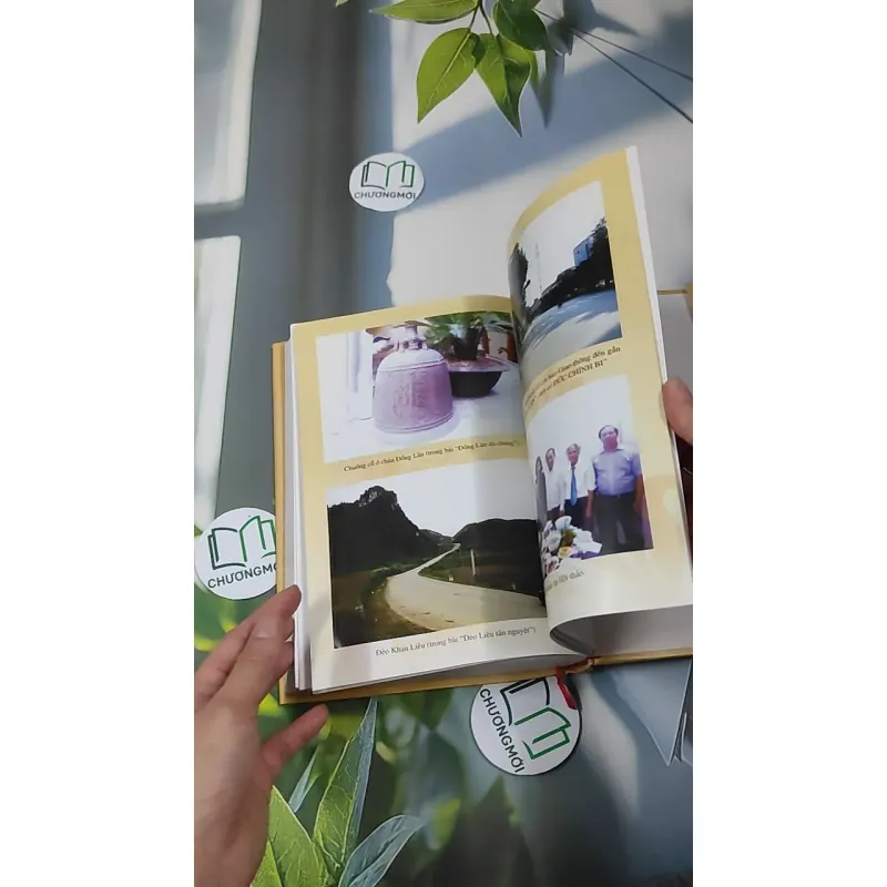 [MIỄN PHÍ BỌC SÁCH] Đinh Nho Hoàn - Thân Thế và Sự Nghiệp 990363