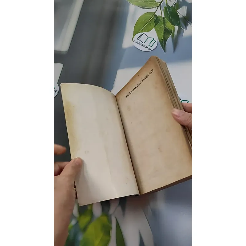 [XƯA] Người Đàn Ông Tuyệt Vời (1995) - Danielle Steel 776077