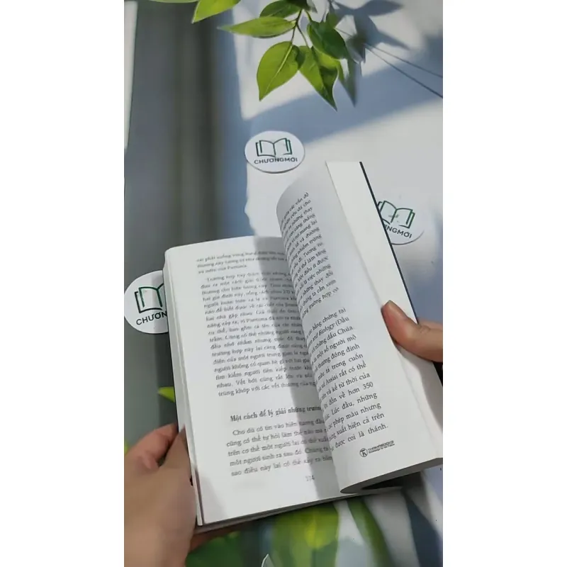 Tiền Kiếp - Có Hay Không? 705673