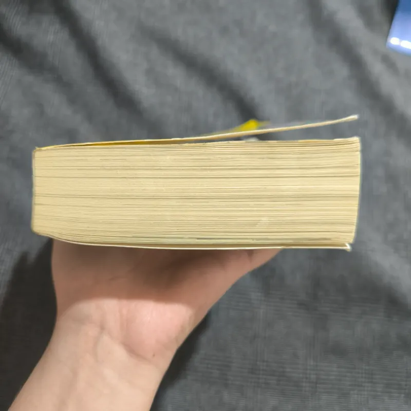 Birthday Boy - David Baddiel (Sách ngoại văn) 755746