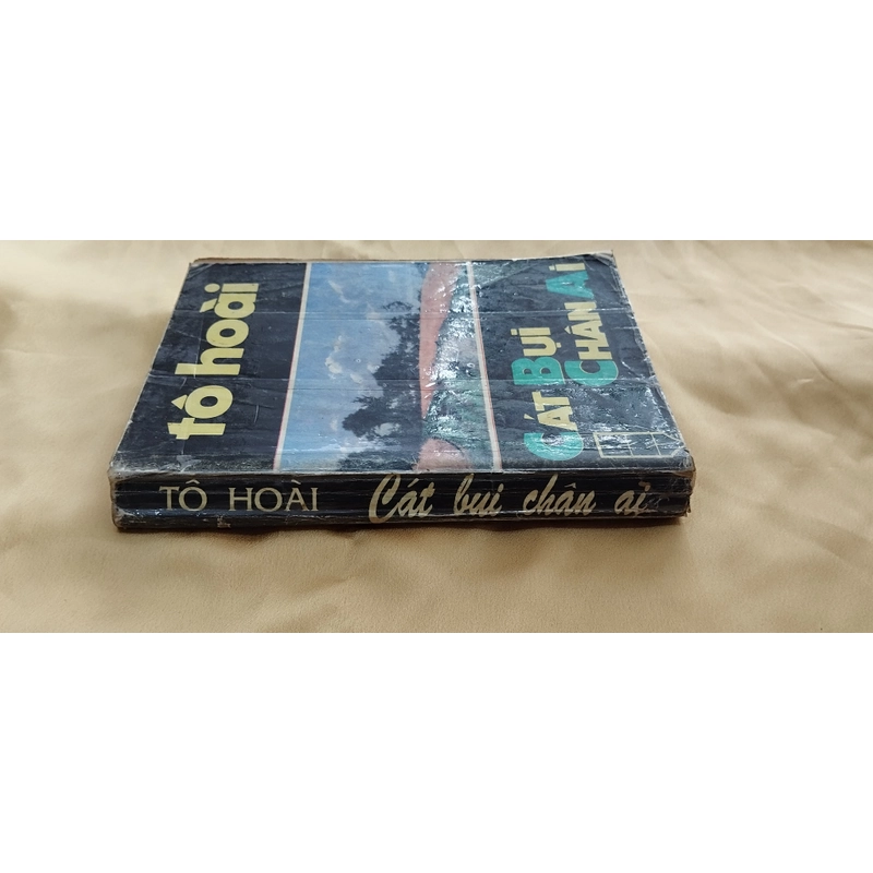 Cát bụi chân ai - Tô Hoài 303451