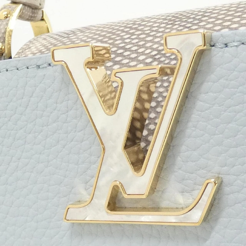 Túi xách Louis Vuitton Exotic Leather Capucines BB M21166 616906